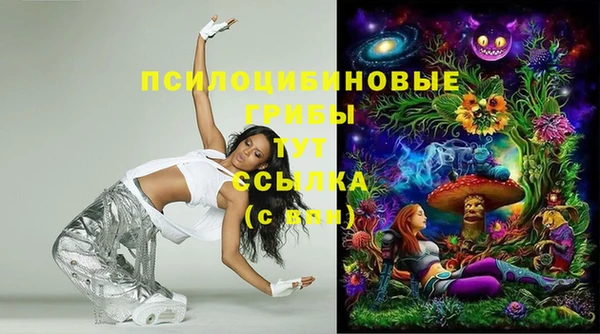 мяу мяу мука Абинск