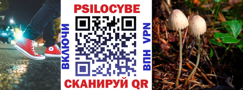 OMG вход  Рославль  Псилоцибиновые грибы мухоморы 