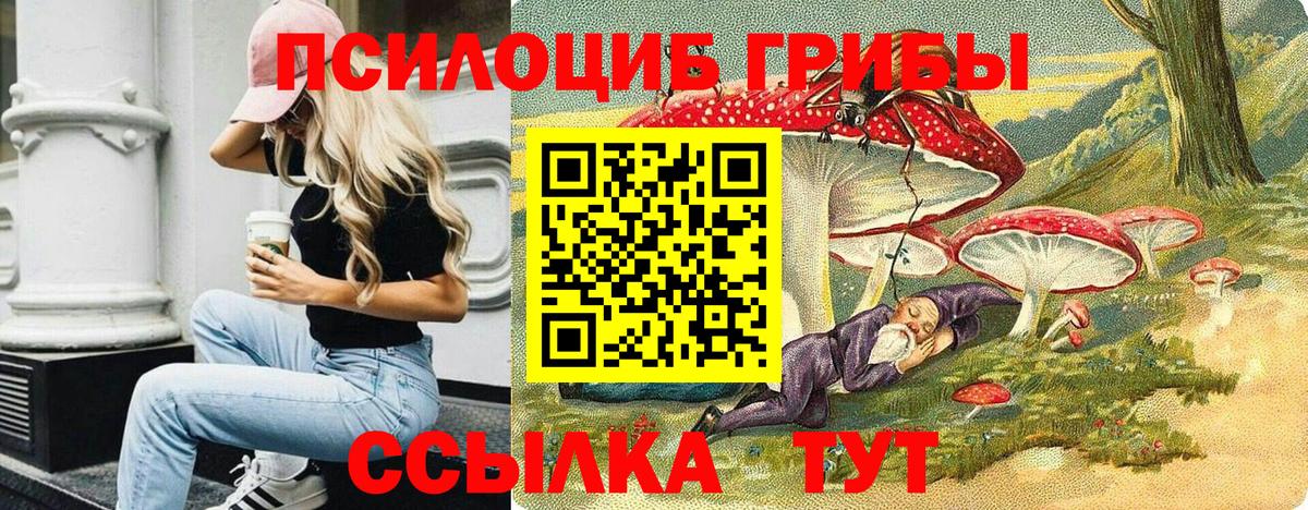Галлюциногенные грибы Psilocybe  Псилоцибиновые грибы Cubensis  продажа наркотиков  Вход с VPN  Рославль 