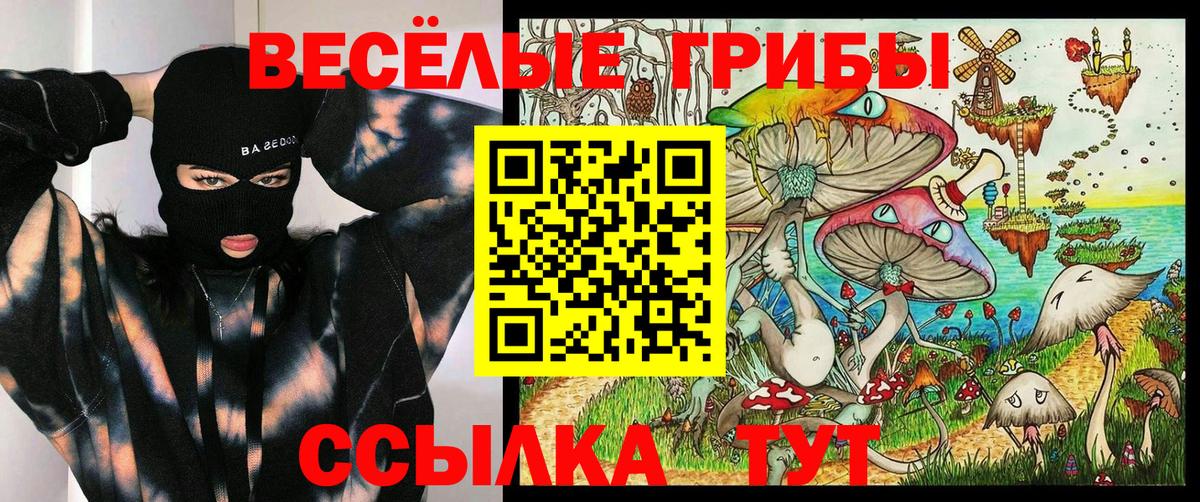 Псилоцибиновые грибы мухоморы Рославль